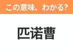 【中国語クイズ】「匹诺曹」は何のキャラクター？嘘をついて鼻が延びてしまったあやつり人形！