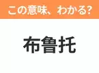 【中国語クイズ】「布鲁托」は何のキャラクター？オレンジ色の体に緑色の首輪をした国民的愛犬といえば！