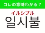 【韓国生活編】覚えておきたいあの言葉！ 「일시불（イルシブル）」の意味は？