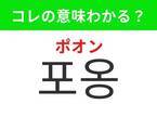 【韓国ドラマ好きは要チェック！】「 포옹（ポオン）」の意味は？愛情や安心感を感じるあの行動！覚えておくと便利な韓国語3選