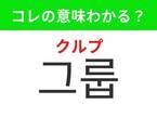 【K-POP好きは要チェック！】「 그룹（クルプ）」の意味は？K-POP界をけん引する集団！覚えておくと便利な韓国語3選