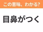 【昭和or Z世代どっち？】「目鼻がつく」この日本語わかりますか？