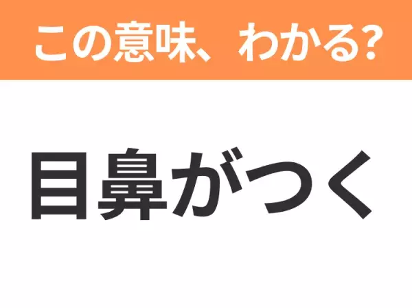【昭和or Z世代どっち？】「目鼻がつく」この日本語わかりますか？
