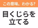 【昭和or Z世代どっち？】「目くじらを立てる」この日本語わかりますか？