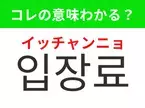 【韓国生活編】覚えておきたいあの言葉！ 「입장료（イッチャンニョ）」の意味は？