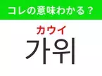 【韓国生活編】覚えておきたいあの言葉！ 「가위（カウイ）」の意味は？