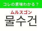 【韓国生活編】覚えておきたいあの言葉！ 「물수건（ムルスゴン）」の意味は？