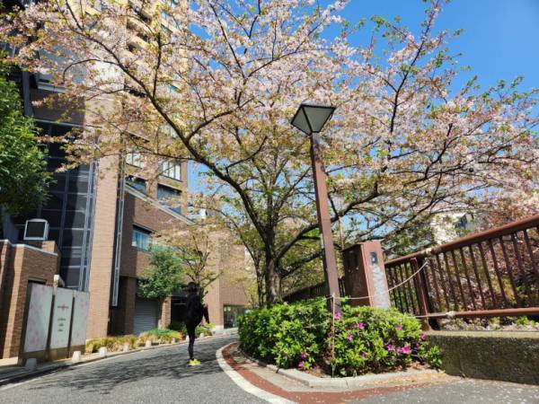 「気持ちのいい走りが気分転換に！」お気に入りのコースやシューズを紹介【3児のママ・ファンラン通信➂】