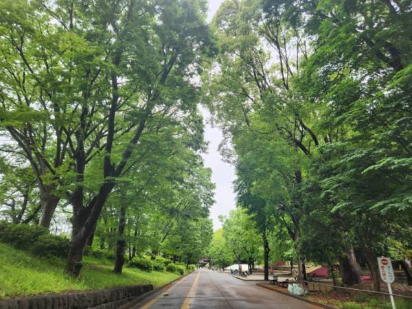 「気持ちのいい走りが気分転換に！」お気に入りのコースやシューズを紹介【3児のママ・ファンラン通信➂】