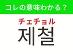 【韓国グルメ編】覚えておきたいあの言葉！ 「제철（チェチョル）」の意味は？