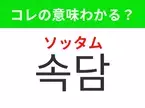 【韓国生活編】覚えておきたいあの言葉！ 「속담（ソッタム）」の意味は？