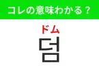 【韓国生活編】覚えておきたいあの言葉！ 「덤（ドム）」の意味は？