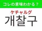 【韓国生活編】覚えておきたいあの言葉！ 「개찰구（ケチャルグ）」の意味は？