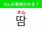 【韓国生活編】覚えておきたいあの言葉！ 「땀（タム）」の意味は？