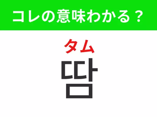 【韓国生活編】覚えておきたいあの言葉！ 「땀（タム）」の意味は？