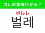 【韓国生活編】覚えておきたいあの言葉！ 「벌레（ボルレ）」の意味は？