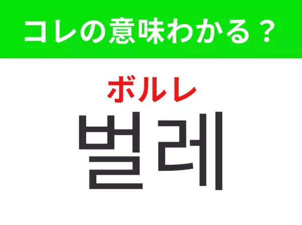 【韓国生活編】覚えておきたいあの言葉！ 「벌레（ボルレ）」の意味は？