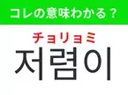 【韓国生活編】覚えておきたいあの言葉！ 「저렴이（チョリョミ）」の意味は？