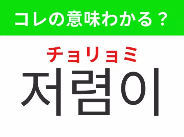 【韓国生活編】覚えておきたいあの言葉！ 「저렴이（チョリョミ）」の意味は？