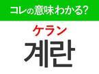 【韓国グルメ好きは要チェック！】「계란（ケラン）」の意味は？みんな大好きなあの食べもの！覚えておくと便利な韓国語3選