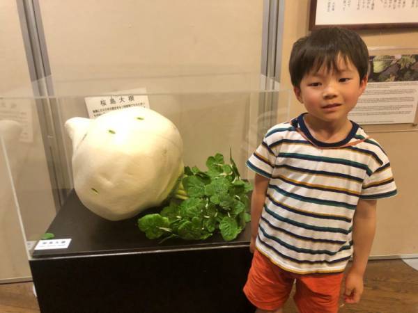 「桜島を歩いて回れる！？」子どもと一緒の大自然ツアーが人気！【九州ママ通信Vol.3】