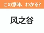 【中国語クイズ】「风之谷」は何の映画タイトル？最終戦争から1000年が経った世界で生きる少女の物語！