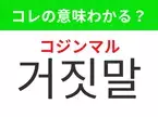 【韓国生活編】覚えておきたいあの言葉！ 「거짓말（コジンマル）」の意味は？