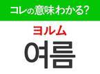 【韓国旅行に行く人は要チェック！】「여름（ヨルム）」の意味は？暑～いあの季節！覚えておくと便利な韓国語3選