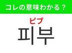 【韓国美容好きは要チェック！】「피부（ピブ）」の意味は？ケアが欠かせないあの場所！覚えておくと便利な韓国語3選