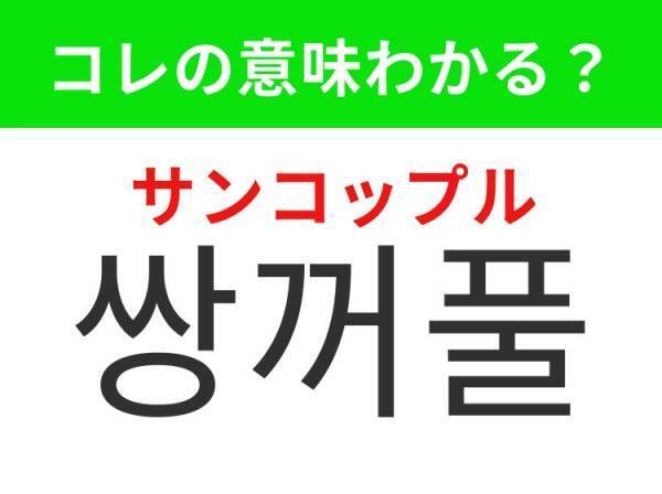 【韓国美容好きは要チェック！】「피부（ピブ）」の意味は？ケアが欠かせないあの場所！覚えておくと便利な韓国語3選