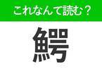 【鰐】はなんて読む？ある生き物の名前を表す言葉