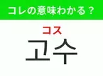 【韓国グルメ編】覚えておきたいあの言葉！ 「고수（コス）」の意味は？