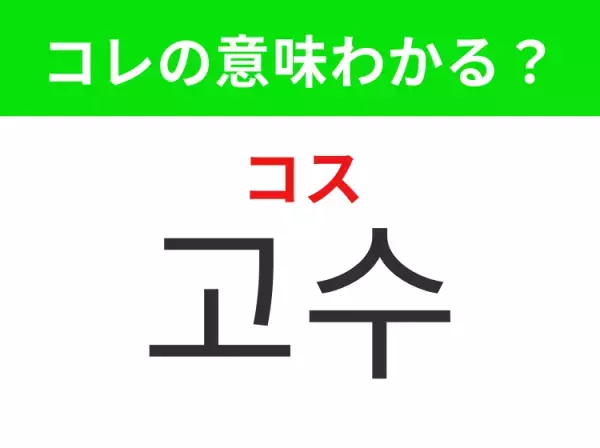 【韓国グルメ編】覚えておきたいあの言葉！ 「고수（コス）」の意味は？