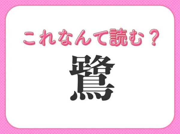 【鷺】はなんて読む？水辺によくいる鳥の名前です