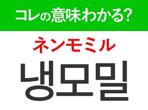 【韓国グルメ好きは要チェック！】「빙수（ピンス）」の意味は？暑～い夏に食べたいあの食べ物♪覚えておくと便利な韓国語3選