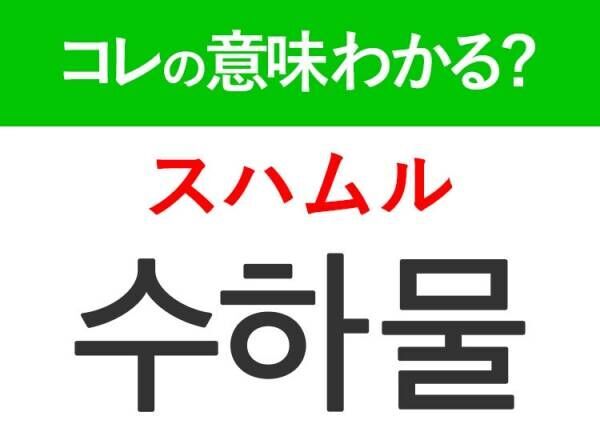 【韓国旅行に行く人は要チェック！】「수하물（スハムル）」の意味は？空港やホテルで使えるあの言葉！覚えておくと便利な韓国語3選