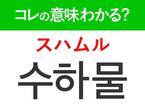 【韓国旅行に行く人は要チェック！】「수하물（スハムル）」の意味は？空港やホテルで使えるあの言葉！覚えておくと便利な韓国語3選