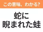 【昭和or Z世代どっち？】「蛇に睨まれた蛙」この日本語わかりますか？