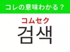 【韓国生活編】覚えておきたいあの言葉！ 「검색（コムセク）」の意味は？