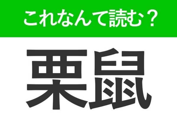 【栗鼠】はなんて読む？小さくてかわいい動物の名前！