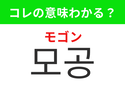 【韓国美容編】覚えておきたいあの言葉！ 「모공（モゴン）」の意味は？
