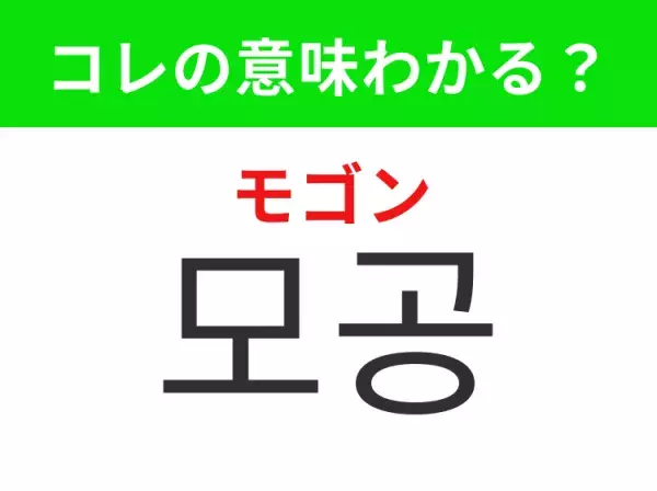 【韓国美容編】覚えておきたいあの言葉！ 「모공（モゴン）」の意味は？