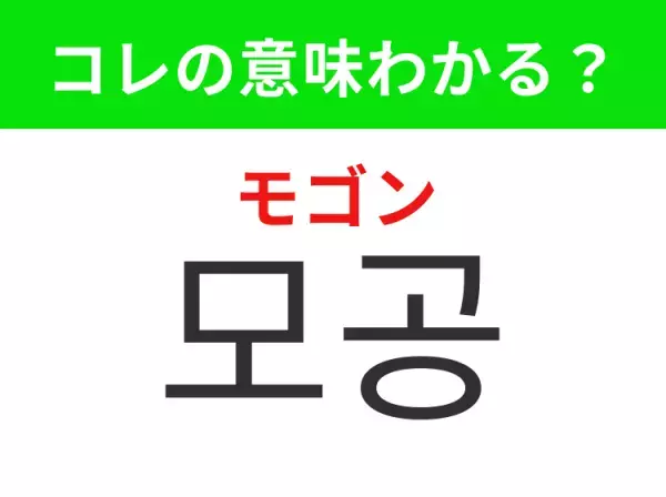 【韓国美容編】覚えておきたいあの言葉！ 「모공（モゴン）」の意味は？