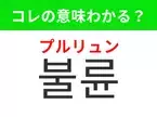 【韓国ドラマ編】覚えておきたいあの言葉！ 「불륜（プルリュン）」の意味は？