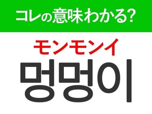 【韓国旅行に行く人は要チェック！】「멍멍이（モンモンイ）」の意味は？韓国人がリアルに使う言葉！覚えておくと便利な韓国語3選