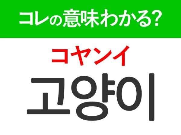 【韓国旅行に行く人は要チェック！】「멍멍이（モンモンイ）」の意味は？韓国人がリアルに使う言葉！覚えておくと便利な韓国語3選