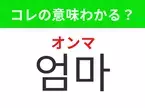 【韓国生活編】覚えておきたいあの言葉！ 「엄마（オンマ）」の意味は？