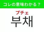 【韓国生活編】覚えておきたいあの言葉！ 「부채（プチェ）」の意味は？