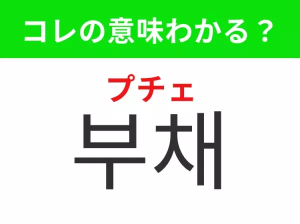 【韓国生活編】覚えておきたいあの言葉！ 「부채（プチェ）」の意味は？