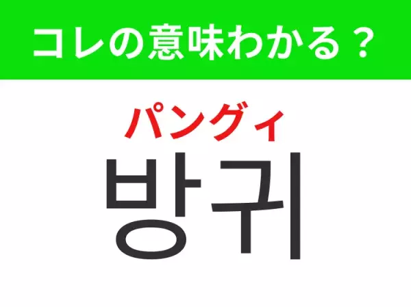 【韓国生活編】覚えておきたいあの言葉！ 「방귀（パングィ）」の意味は？